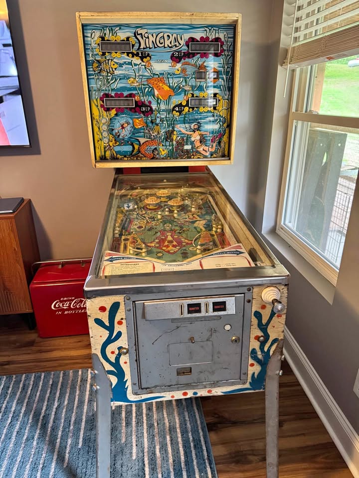 Stern Stingray Pinball Machine