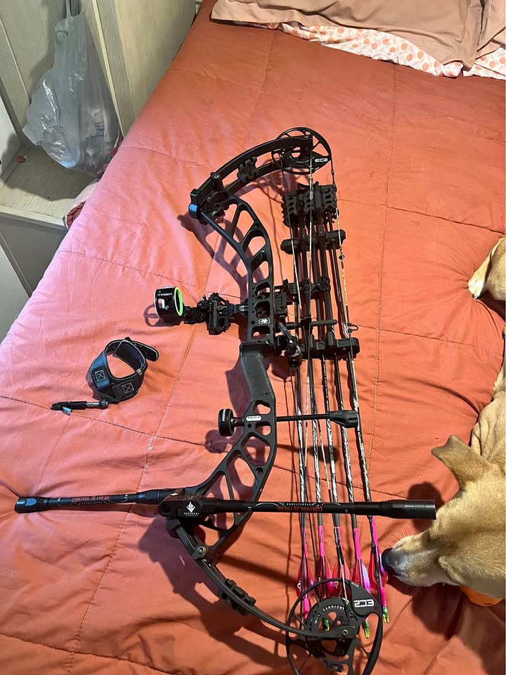 PSE Omen Compound Bow