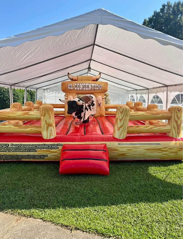 Mechanical Bull